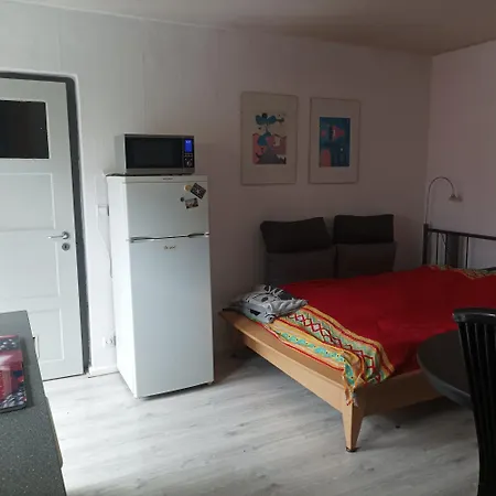 Naturfreunde Speyer 2p, Altrheinnahe, Hundefreundlich Apartment Römerberg